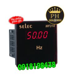 Đồng hồ đo tần số Selec MF316