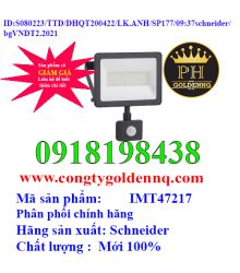 Đèn pha LED IMT47217 Schnieder