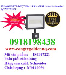 Đèn pha LED IMT47221 Schneider