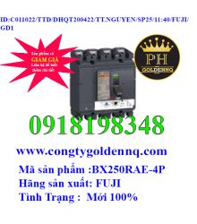 MCCB Fuji BX250RAE-4P 50kA 250A 100122-11.40