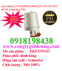 Ổ cắm âm dạng nghiêng PKF32W423 Schneider   H-N.6.3.23-09h33