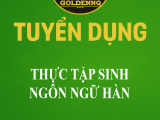 Tuyển dụng thực tập sinh ngôn ngữ Hàn golden nq