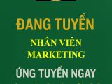 Tuyển dụng nhân viên marketing goldennq