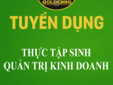 Tuyển dụng thực tập sinh quản trị kinh doanh golden nq