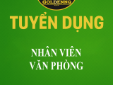 Tuyển dụng nhân viên văn phòng golden nq