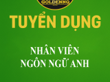 Tuyển dụng nhân viên ngôn ngữ Anh golden nq