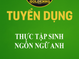 Tuyển dụng thực tập sinh ngôn ngữ Anh golden nq