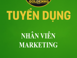 Tuyển dụng nhân viên marketing golden nq