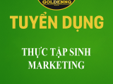 Tuyển dụng thực tập sinh marketing golden nq
