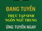 Tuyển dụng thực tập sinh ngôn ngữ Trung Goldennq