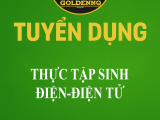 Tuyển thực tập sinh điện điện tử golden nq