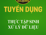 Tuyển thực tập sinh xử lý dữ liệu golden nq