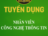 Tuyển dụng nhân viên công nghệ thông tin golden nq