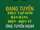 Tuyển thực tập sinh bán hàng điện điện tử
