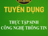 Tuyển dụng thực tập sinh công nghệ thông tin golden nq