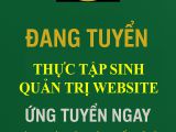 Tuyển thực tập sinh quản trị web