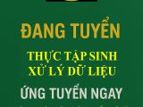 Tuyển thực tập sinh xử lý dữ liệu