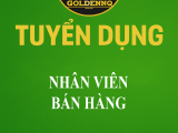 Tuyển nhân viên bán hàng golden nq
