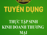 Tuyển dụng thực tập sinh kinh doanh thương mại golden nq