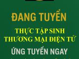Tuyển thực tập sinh thương mại điện tử