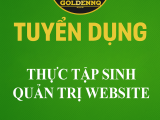 Tuyển thực tập sinh quản trị website 