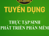 Tuyển dụng thực tập sinh phát triển phần mềm golden nq