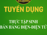 Tuyển dụng thực tập sinh bán hàng điện điện tử golden nq