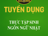Tuyển dụng thực tập sinh ngôn ngữ Nhật golden nq