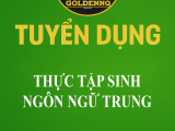 Tuyển dụng thực tập sinh ngôn ngữ Trung golden nq