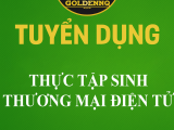 Tuyển thực tập sinh thương mại điện tử GOLDEN NQ
