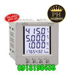 Đồng hồ đo đa năng Selec MFM383A
