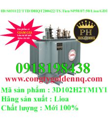 Biến áp điện lực 3 pha ngâm dầu 3D102H2TM1Y1-sp58