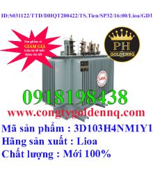 Biến áp điện lực 3 pha ngâm dầu 3D103H4NM1Y1-sp32