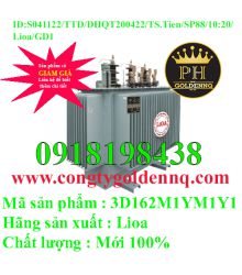 Biến áp điện lực 3 pha ngâm dầu 3D162M1YM1Y1-sp88