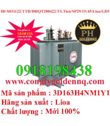Biến áp điện lực 3 pha ngâm dầu 3D163H4NM1Y1-SP29