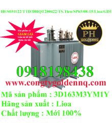 Biến áp điện lực 3 pha ngâm dầu 3D163M3YM1Y-sp63