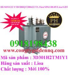 Biến áp điện lực 3 pha ngâm dầu 3D301H2TM1Y1-sp61