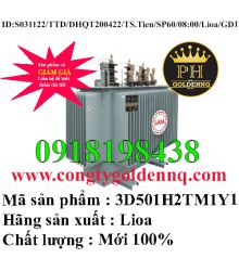 Biến áp điện lực 3 pha ngâm dầu 3D501H2TM1Y1-sp60