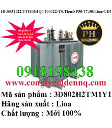 Biến áp điện lực 3 pha ngâm dầu 3D802H2TM1Y1-sp50