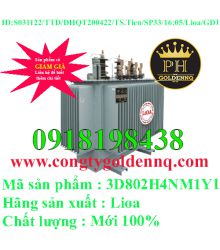 Biến áp điện lực 3 pha ngâm dầu 3D802H4NM1Y1-sp33