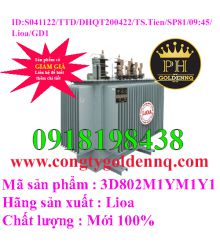 Biến áp điện lực 3 pha ngâm dầu 3D802M1YM1Y1-sp81