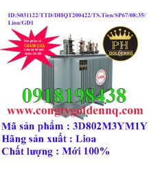 Biến áp điện lực 3 pha ngâm dầu 3D802M3YM1Y-sp67