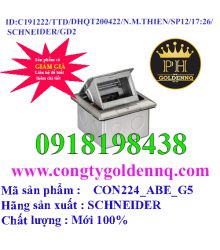 Ổ cắm âm sàn cho Concept có đế âm, màu nhũ bạc CON224_ABE_G5       sp12 -n191222-1726