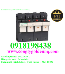 CẦU CHÌ BẢO VỆ SCHNEIDER DF223NVC