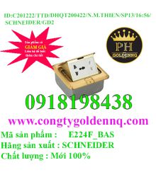 Ổ Cắm Âm Sàn Cho S-Flexi Có Đế Âm, Màu Nhũ Vàng E224F_BAS Schneider      sp13 -n191222-1656