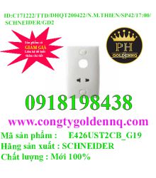 Bộ Ổ Cắm Đôi 2 Chấu 16A S-Classic E426UST2CB_G19 Schneider        sp 42-n171222-1501