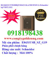 Bộ ổ sạc USB đơn E8431USB_SZ_G19 Schneider