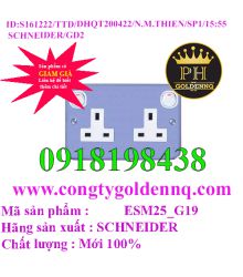 Bộ Ổ Cắm Đôi 3 Chấu 13A Có Công Tắc, Mặt Kim Loại E30&EMS ESM25_G19 Schneider         sp1 -n161222-1101