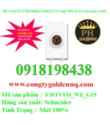 Ổ Cắm TV, Size S S-Flexi F30TVSM_WE_G19 Schneider