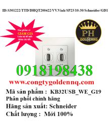 Ổ Cắm Đôi Sạc USB 2.1A Vivace KB32USB_WE_G19 Schneider